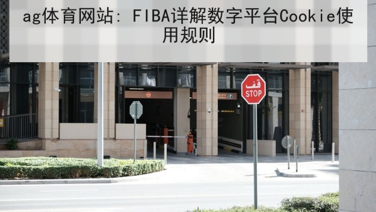 ag体育网站: FIBA详解数字平台Cookie使用规则