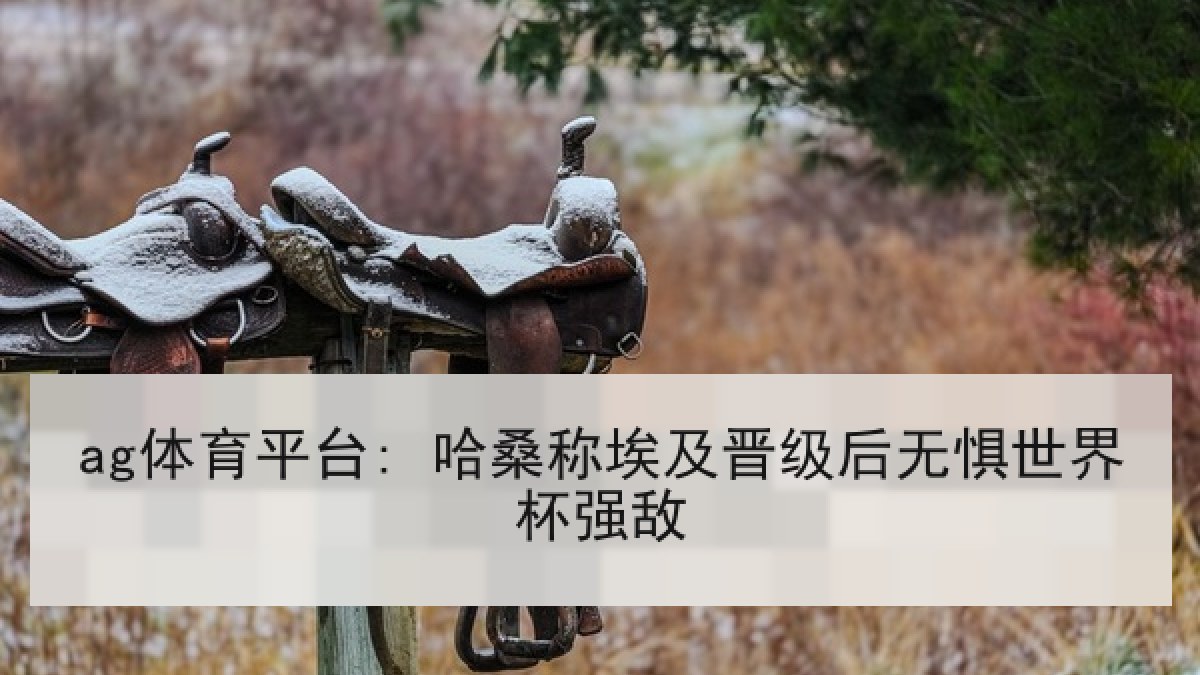 ag体育平台: 哈桑称埃及晋级后无惧世界杯强敌 ag体育平台: 哈桑称埃及晋级后无惧世界杯强敌