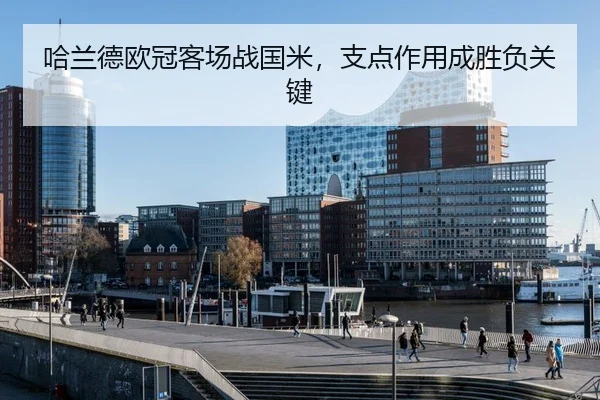 ha-lan-de-ou-guan-ke-chang-zhan-guo-mi-zhi-dian-zuo-yong-cheng-sheng-fu-guan-jian-3-823.jpg