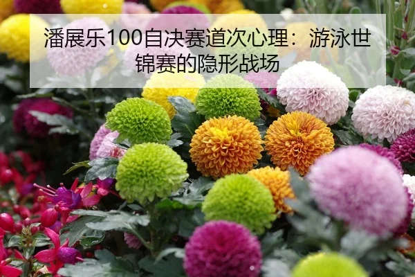 潘展乐100自决赛道次心理：游泳世锦赛的隐形战场