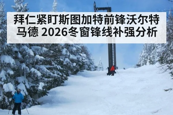 拜仁紧盯斯图加特前锋沃尔特马德 2026冬窗锋线补强分析